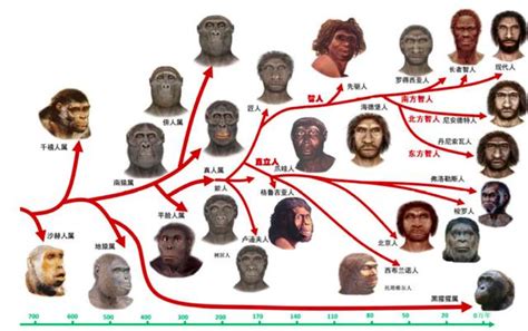 人類起源的四大理論|人類起源：現代文明「可能出自博茨瓦納」